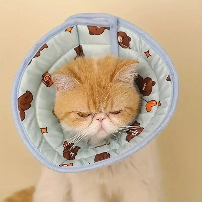 Collier récupération chat - Protection post-op | FéliCare