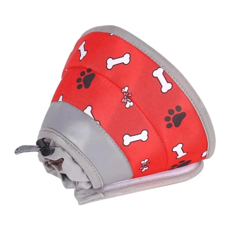 Collier récupération chat - Protection post-op | FéliCare