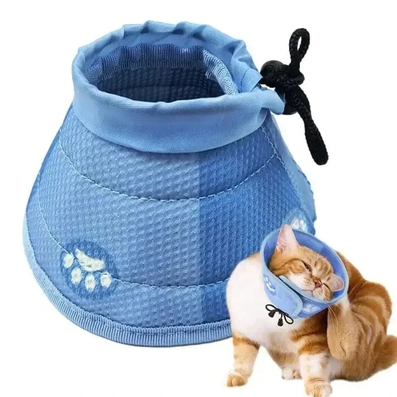 Collier anti-léchage chat - Protection soin | HealCat