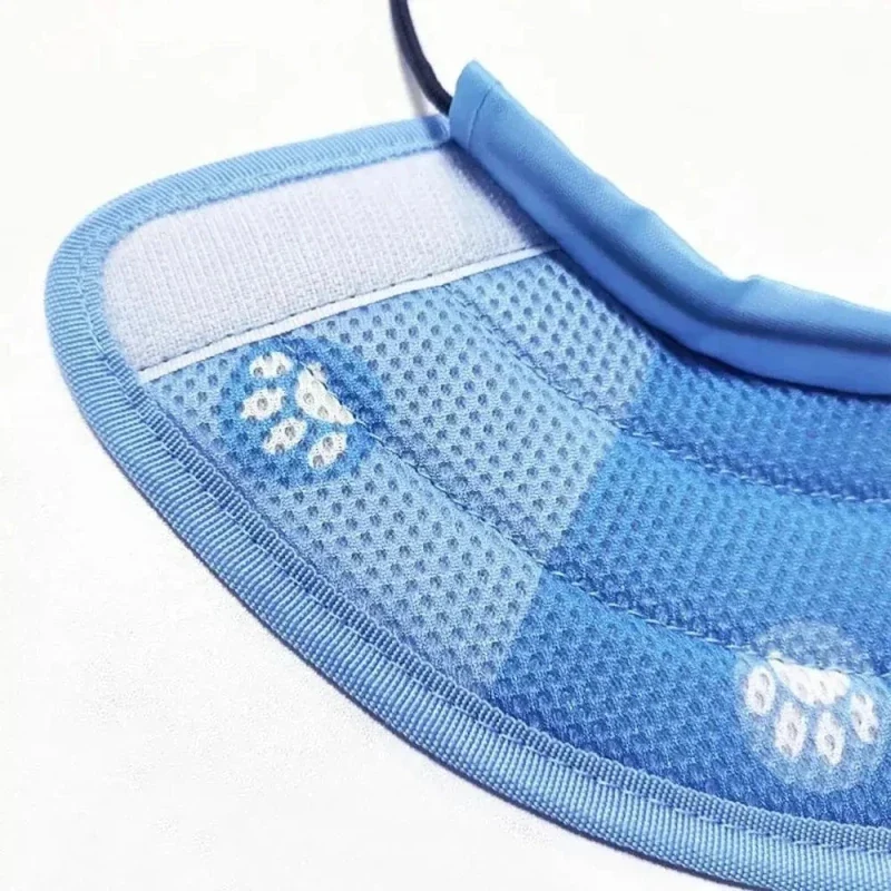 Collier anti-léchage chat - Protection soin | HealCat