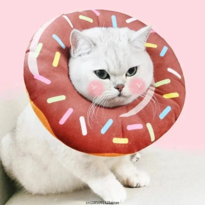 Collerette bouée chat - Confort optimal | AirCone