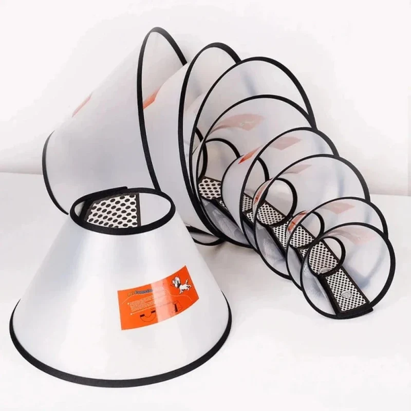 Collerette souple pour chat - Confort optimal | SoftCone