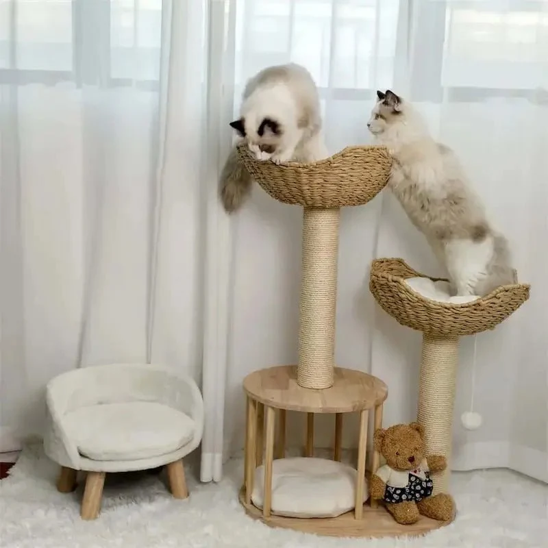 Arbre à chat design luxe - Élégance & confort | Feluxe