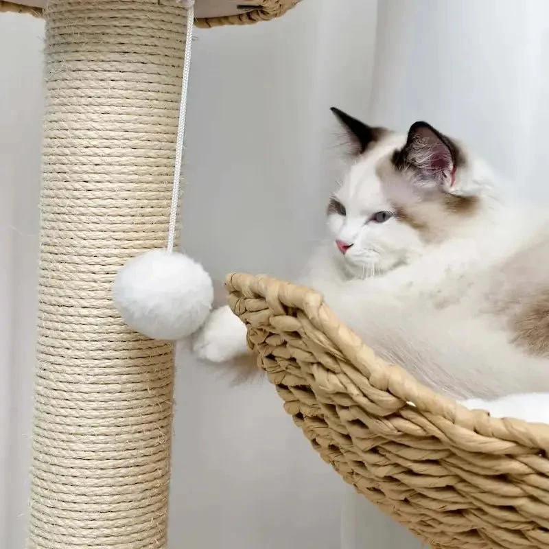 Arbre à chat design luxe - Élégance & confort | Feluxe