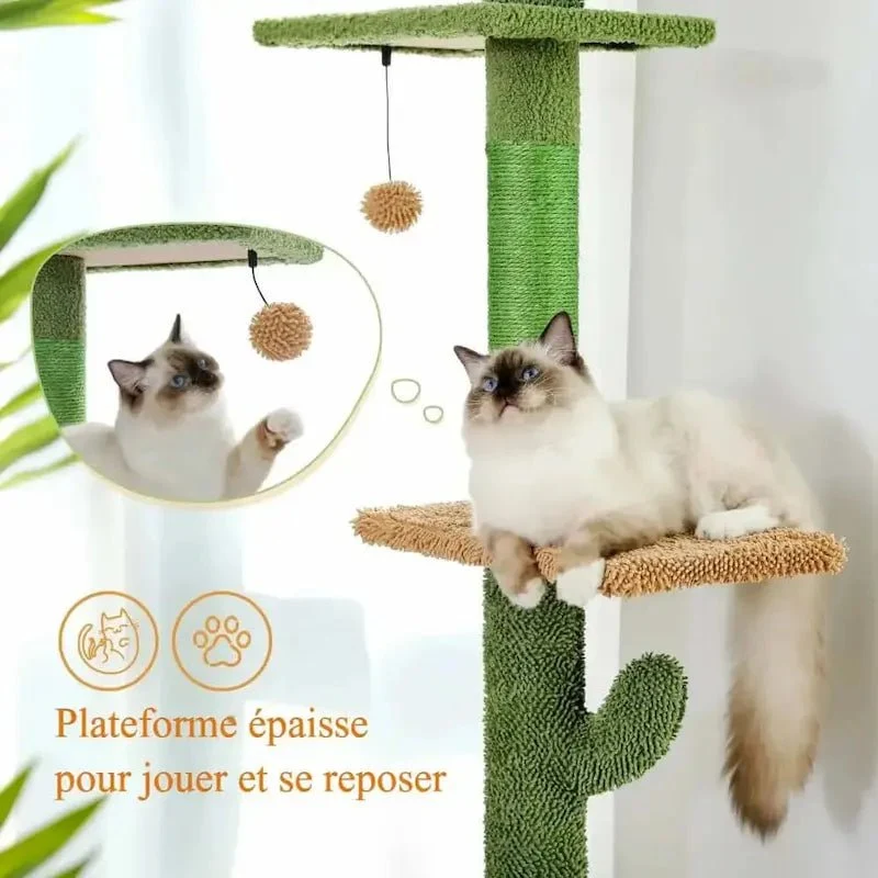 Arbre à chat cactus - Déco & griffoir | Felipricks