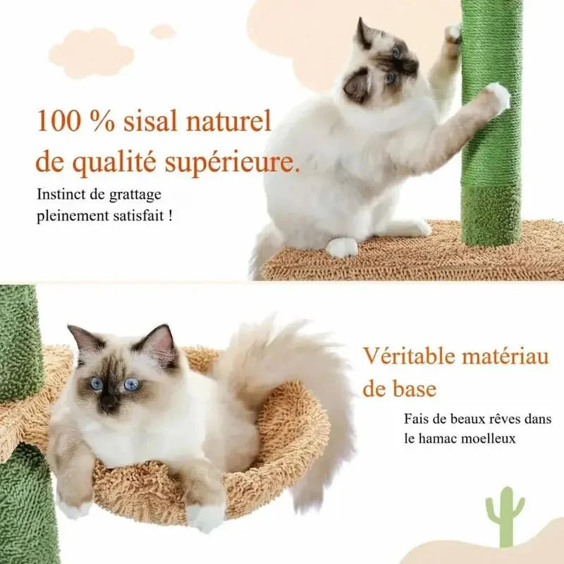 Arbre à chat cactus - Déco & griffoir | Felipricks