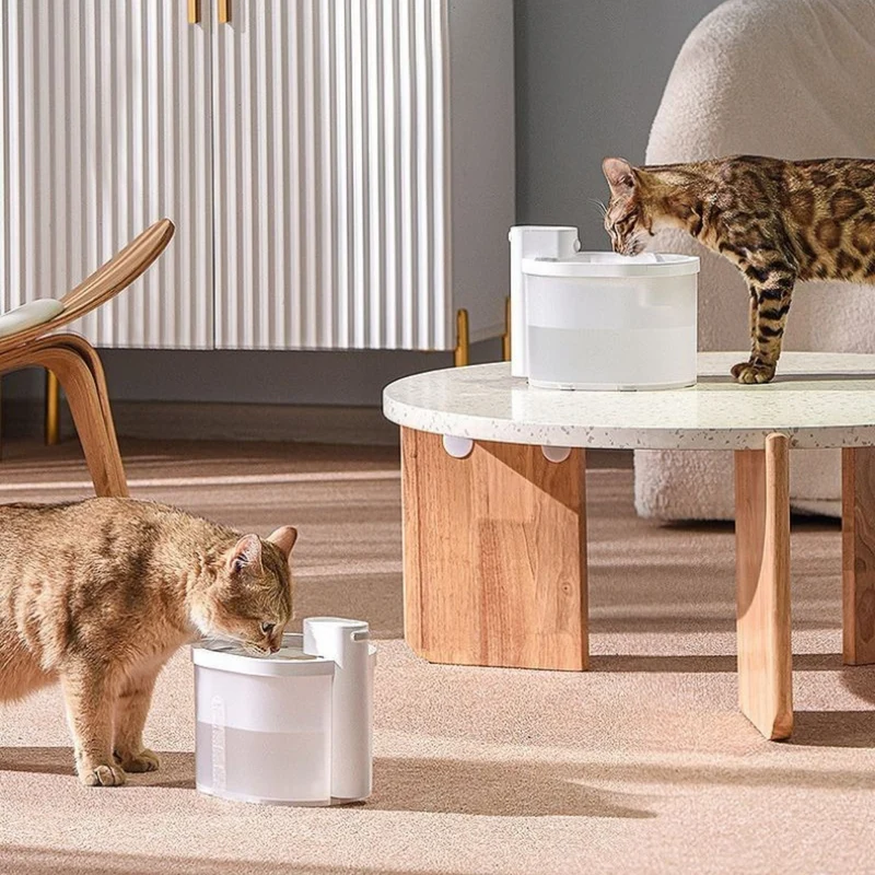 fontaine chat | AquaLibre