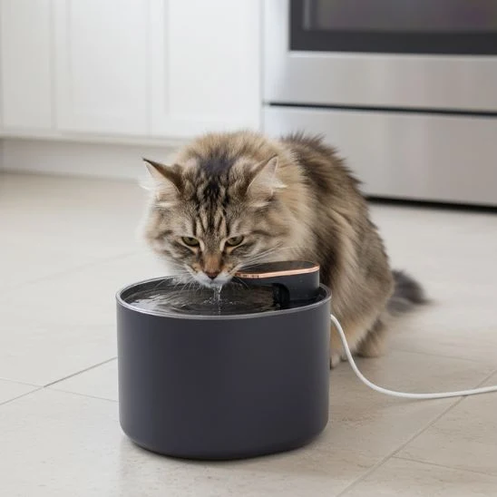 FONTAINE A EAU POUR CHAT | AquaPurr