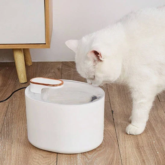 FONTAINE A EAU POUR CHAT | AquaPurr