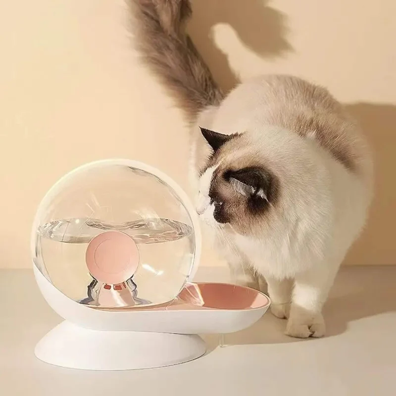 fontaine à eau chat sans électricité escargot