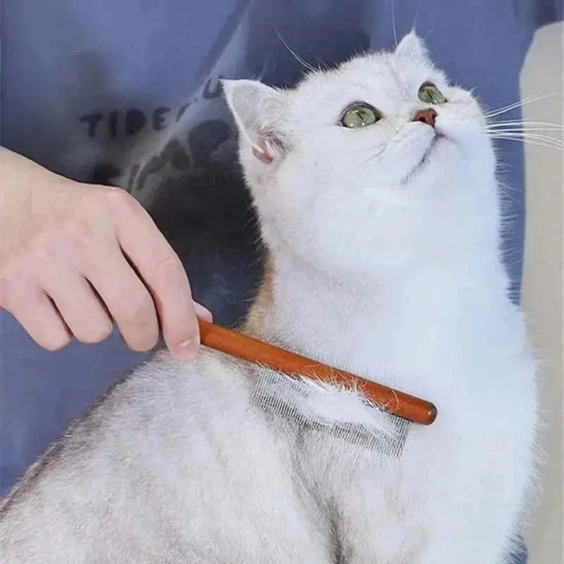 Peigne pour chat - Démêlage doux & efficace | CatEase