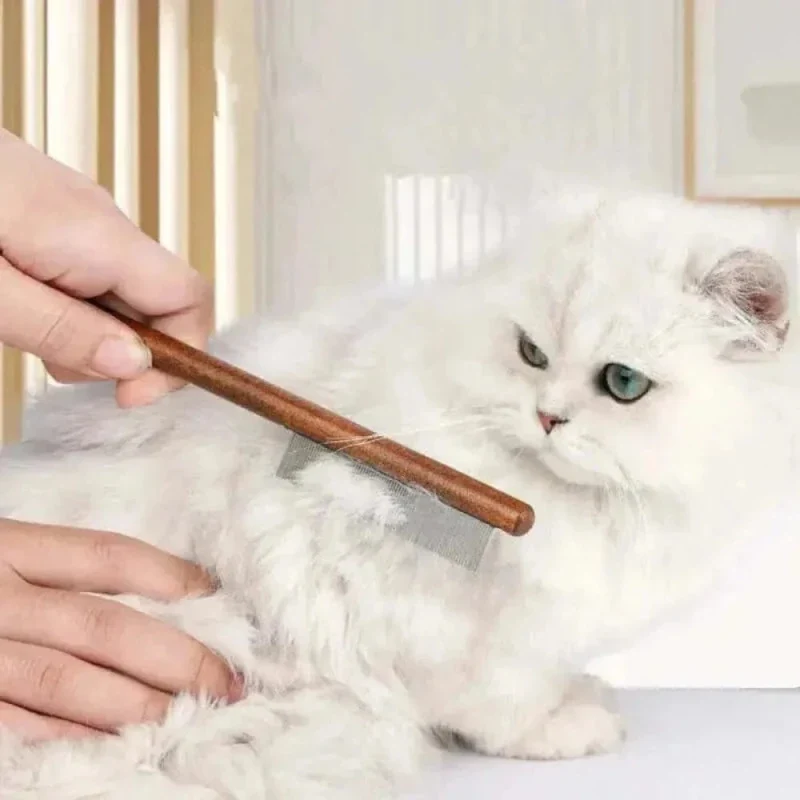 Peigne pour chat - Démêlage doux & efficace | CatEase