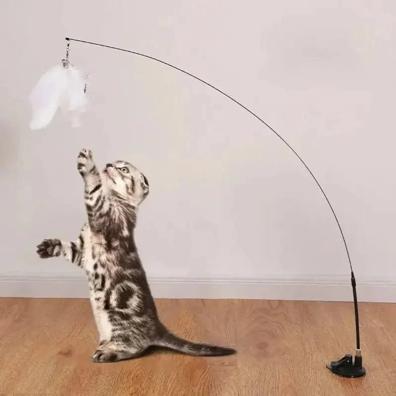 Jouet pour chat plume à ventouse - Amusement garanti | PlumeStick