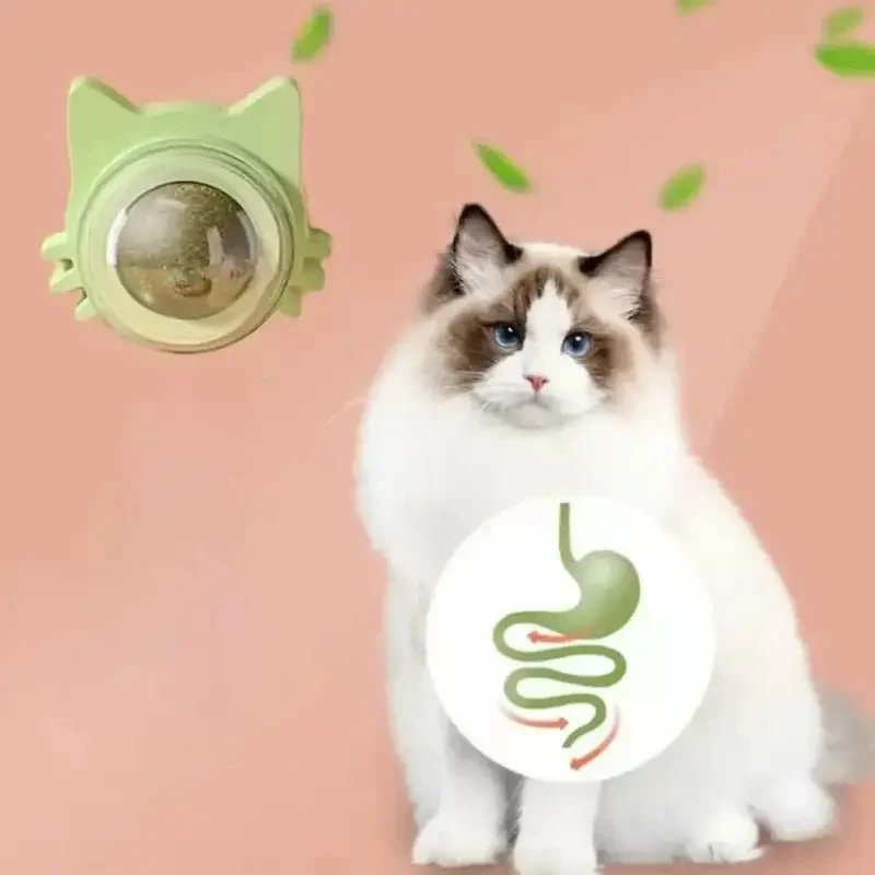 Boule herbe à chat murale - Effet irrésistible | NipWall