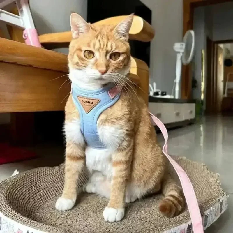 Harnais chat Duomm - Ajustable et anti-fugue