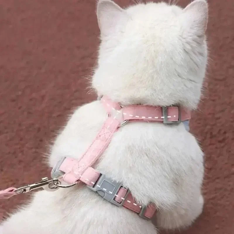 Harnais chat Duomm - Ajustable et anti-fugue
