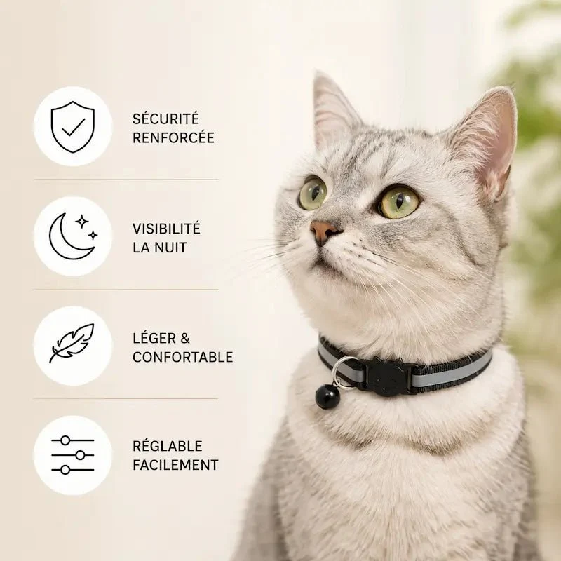 Collier clochette chat réfléchissant – Visibilité nuit | GlowBell