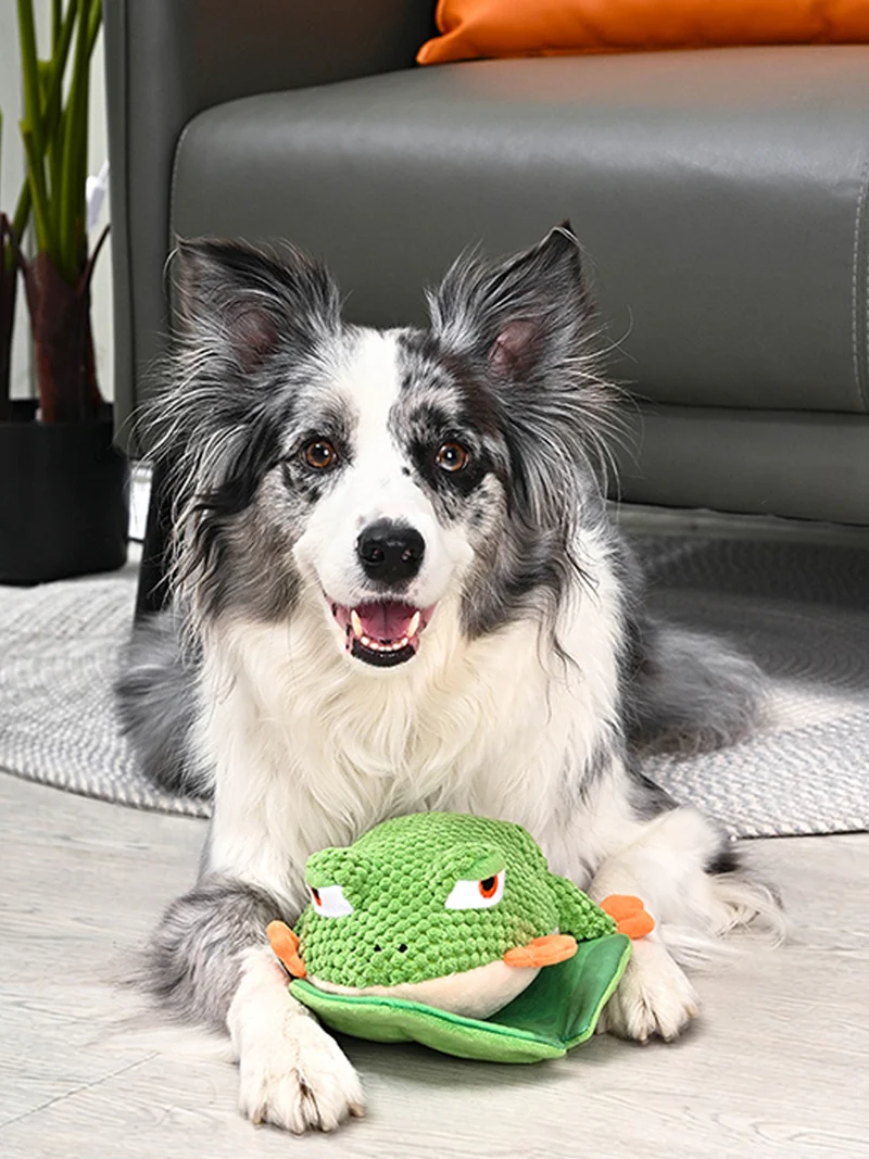 Peluche pour chien - Jungle Tails Grenouille 🐸 - HugSmart