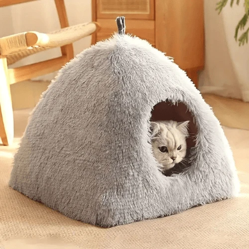 cabane chat igloo