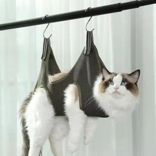 hamac à chat de toilettage