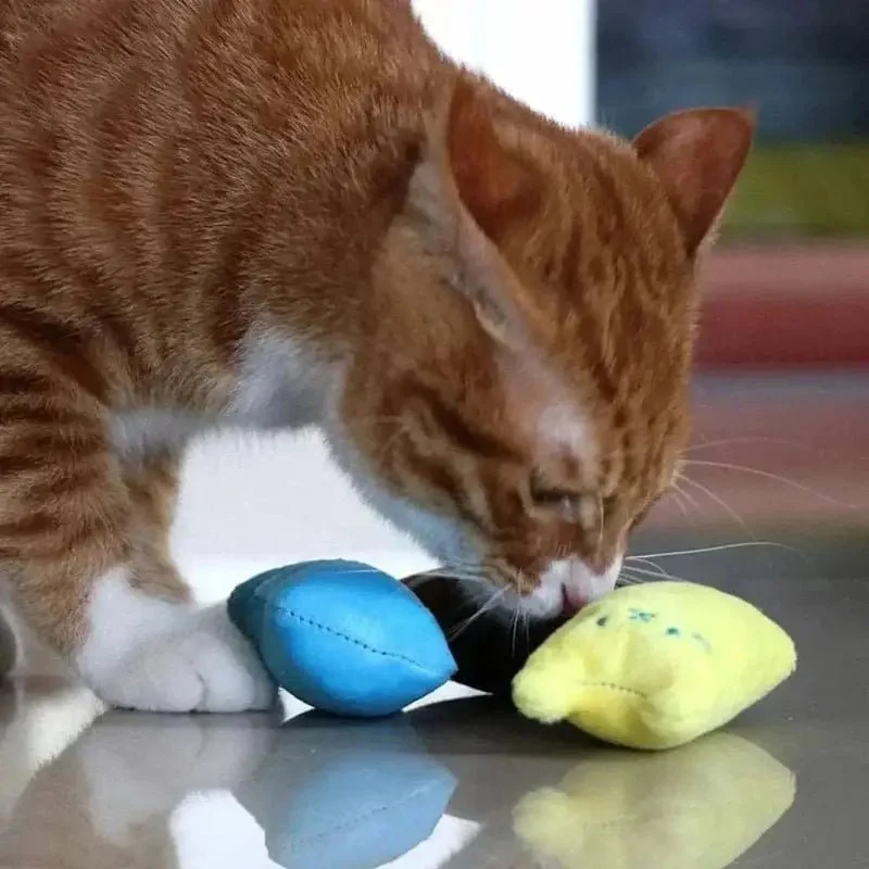 Doudou pour chat – Anti-stress | CâlinouCat