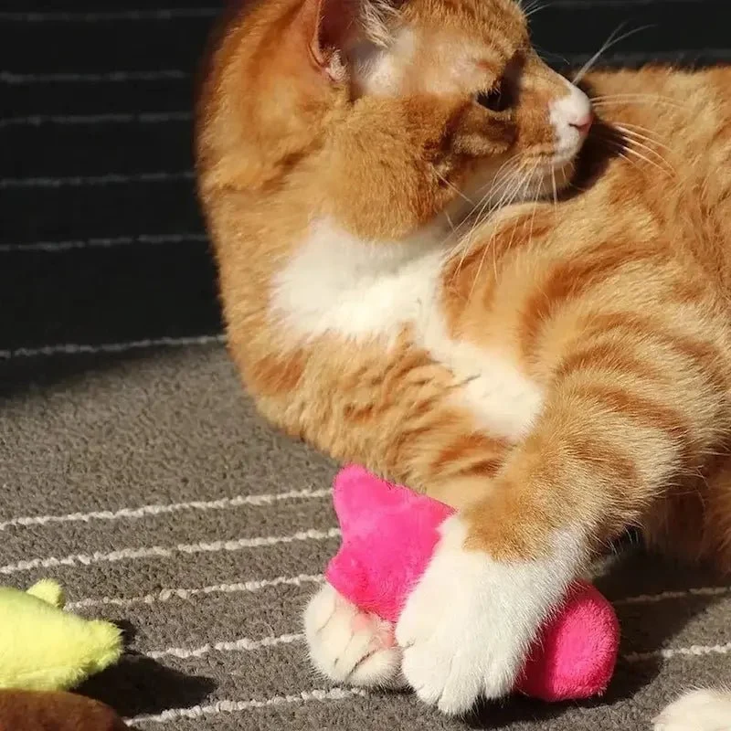 Doudou pour chat – Anti-stress | CâlinouCat