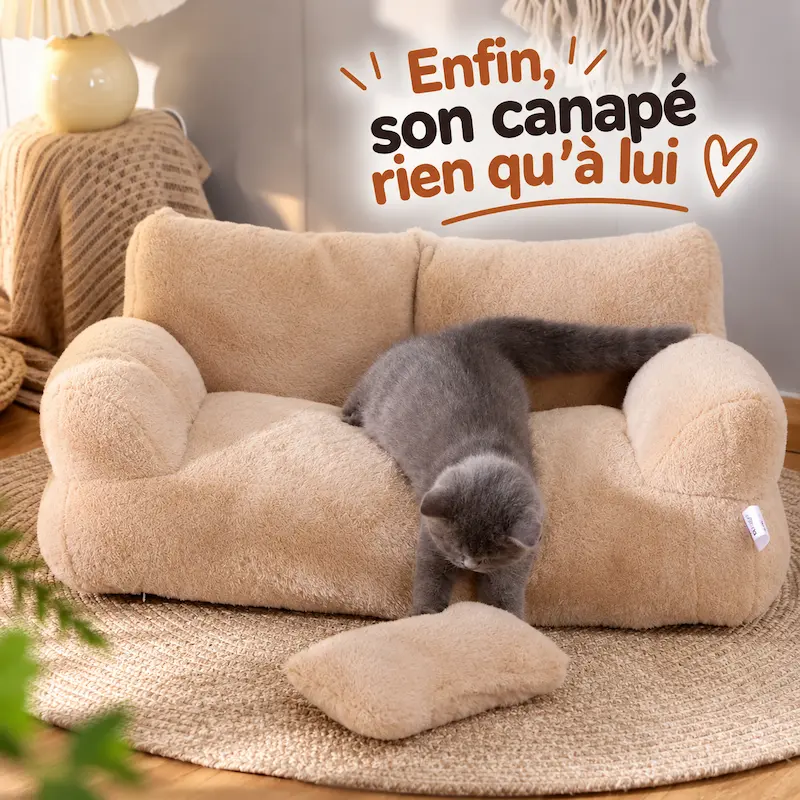Canapé pour chat - Confort et style garantis | CozySofa