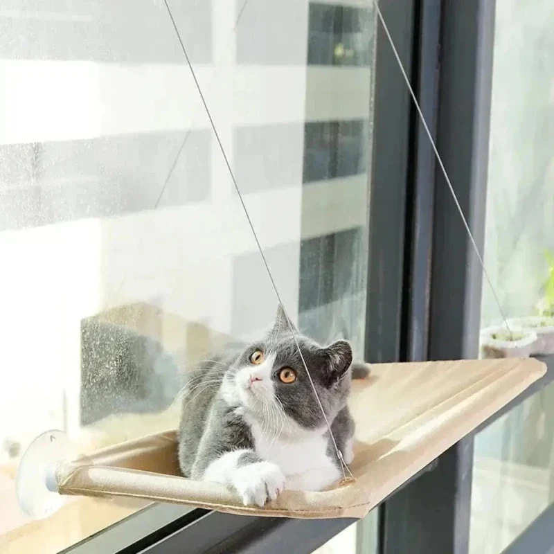 Hamac de fenêtre pour chat - Vue extérieure | WindowCat
