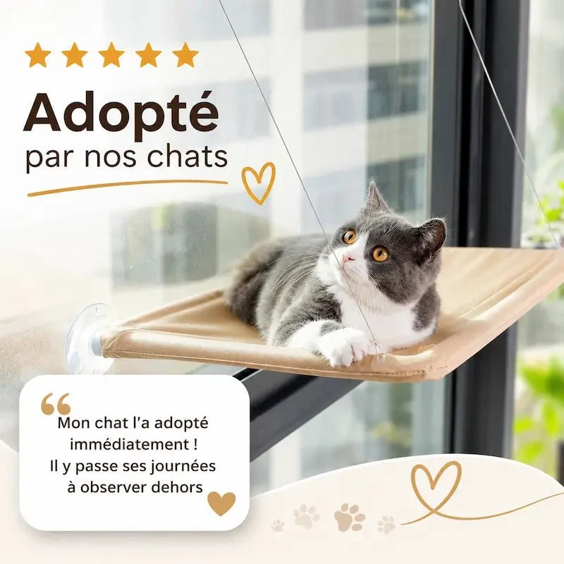 Hamac de fenêtre pour chat - Vue extérieure | WindowCat