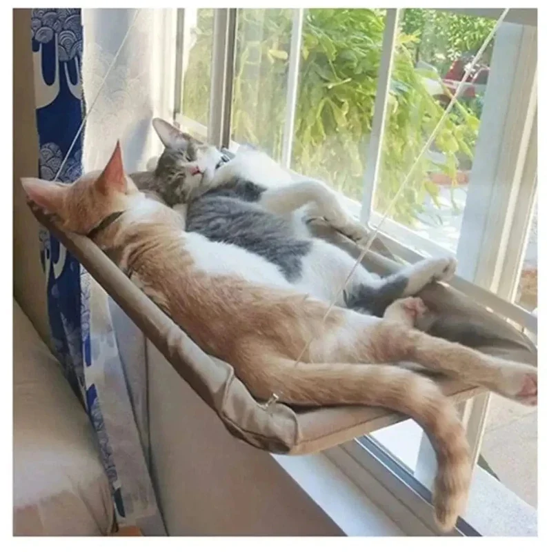 Hamac de fenêtre pour chat - Vue extérieure | WindowCat