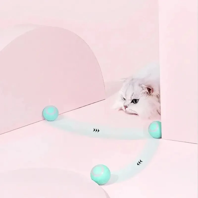 Balle interactive chat - Anti-ennui | FéliPlay