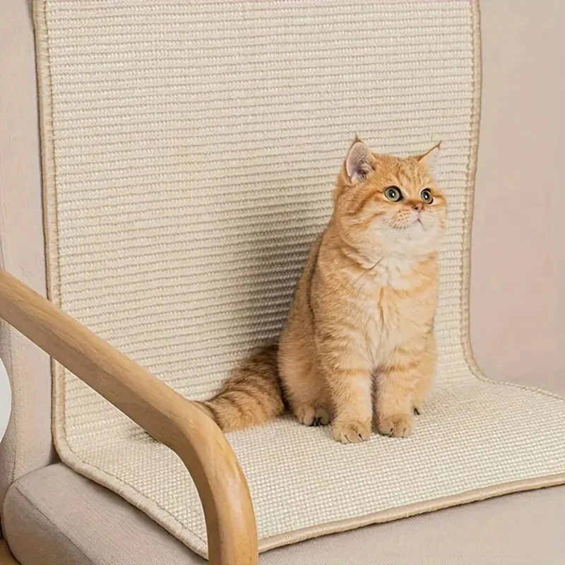 tapis chat griffoir adhésif