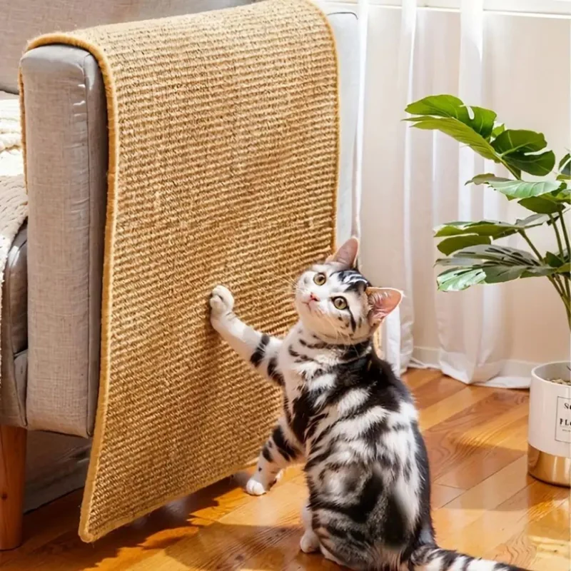 tapis chat griffoir adhésif