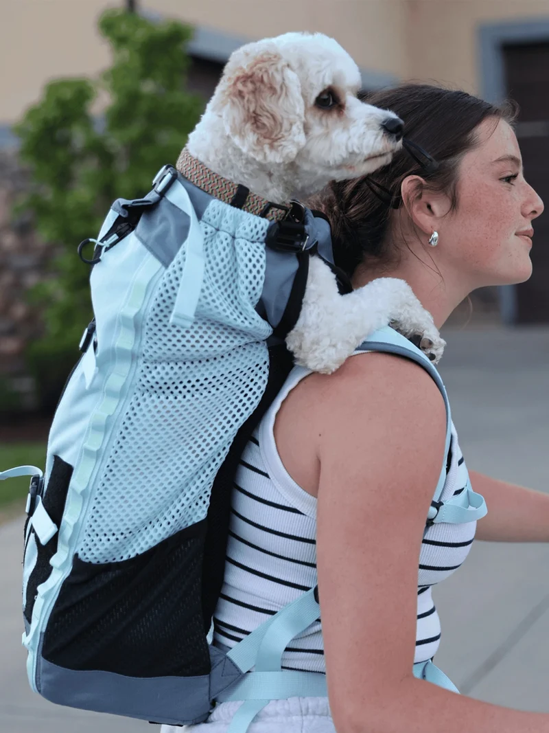 Sac de transport tout confort - Kompanion Gris foncé - K9 Sport Sack