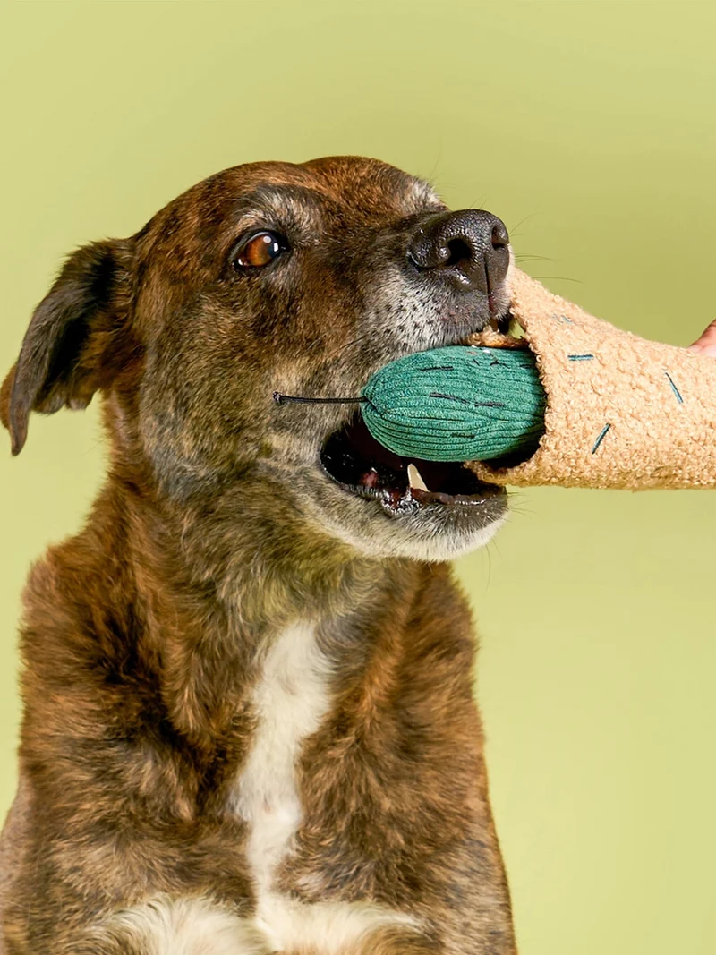 Jouet de fouille pour chien - Cornichon 🥒 - The FurryFolks
