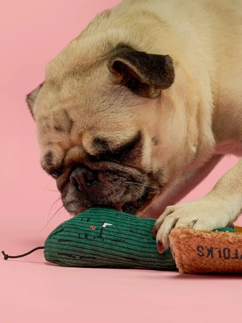 Jouet de fouille pour chien - Cornichon 🥒 - The FurryFolks