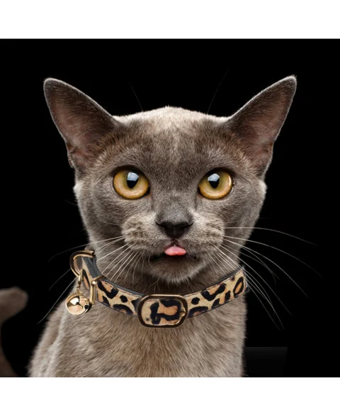 Collier en cuir pour chat esprit Léopard - MILK AND PEPPER