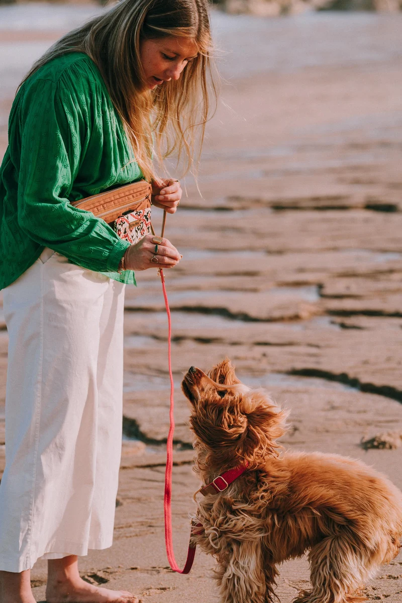 Ensemble Sac banane et pochette à friandises amovible pour chien - Modèle Eugénie