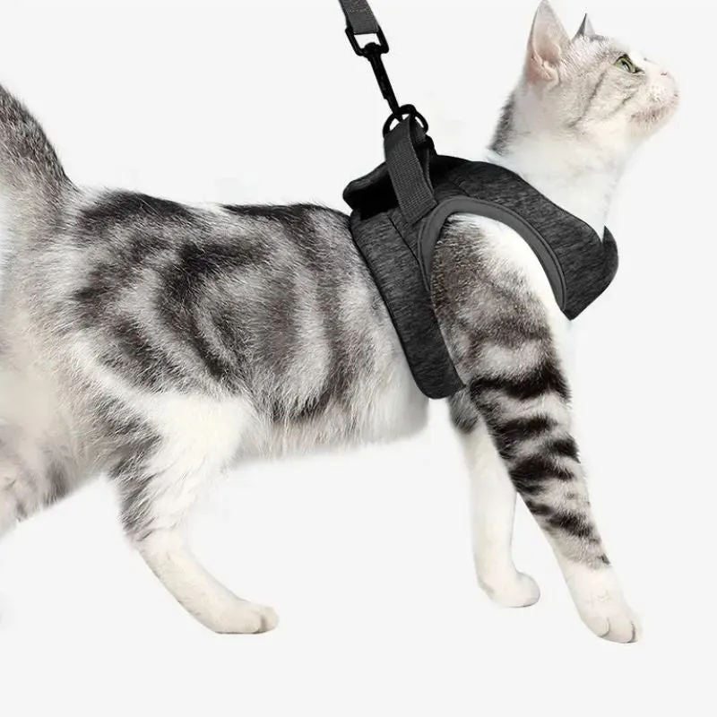 Harnais chat - Veste anti-traction