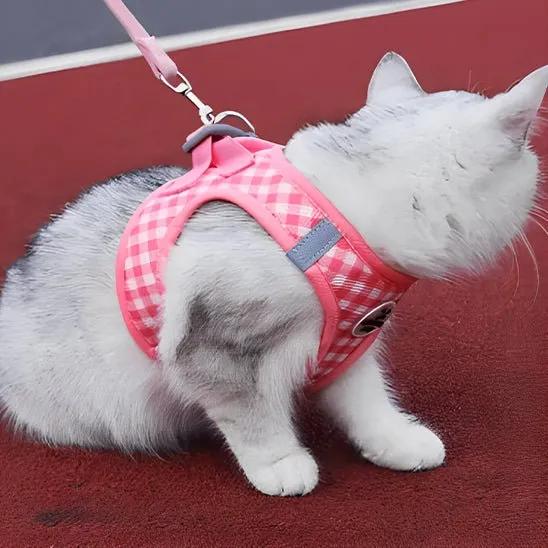 Harnais chat - Mignon confortable