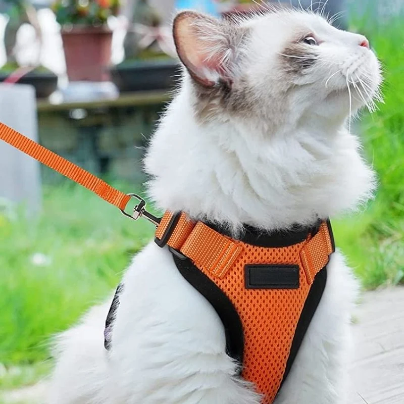 Harnais chat - Respirant réglable et confortable