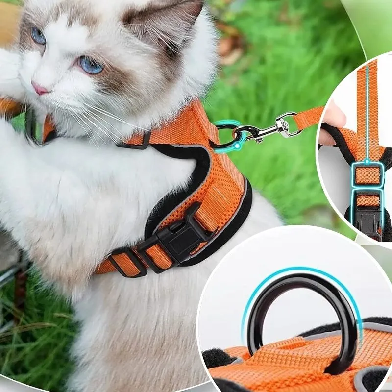 Harnais chat - Respirant réglable et confortable