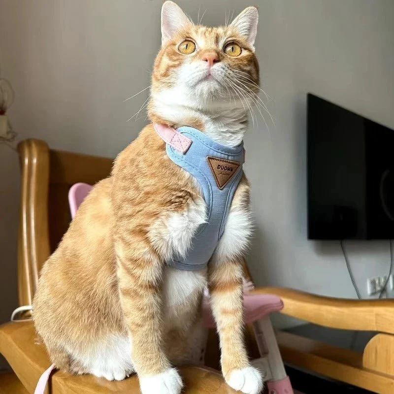 Harnais chat - Anti évasion ultra-confortable