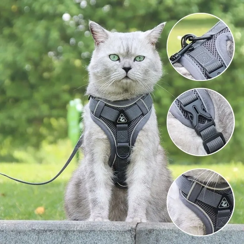 Harnais chat anti-fugue - Réglable et réfléchissant