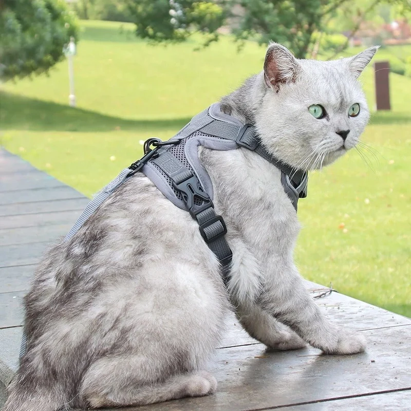 Harnais chat anti-fugue - Réglable et réfléchissant