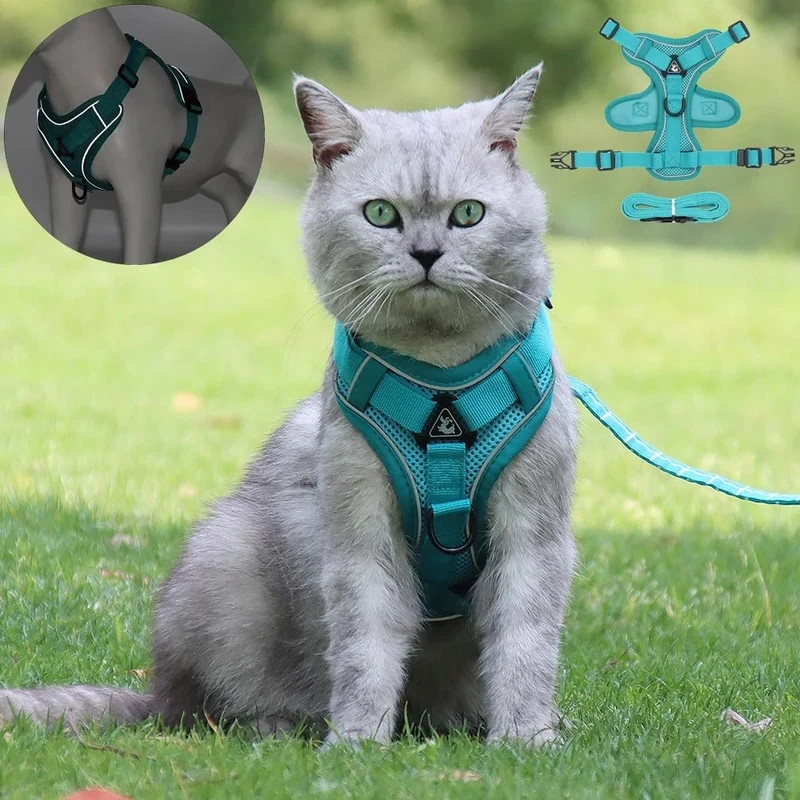Harnais chat anti-fugue - Réglable et réfléchissant