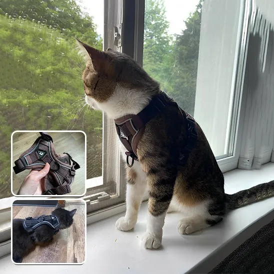 Harnais chat anti-fugue - Réglable et réfléchissant