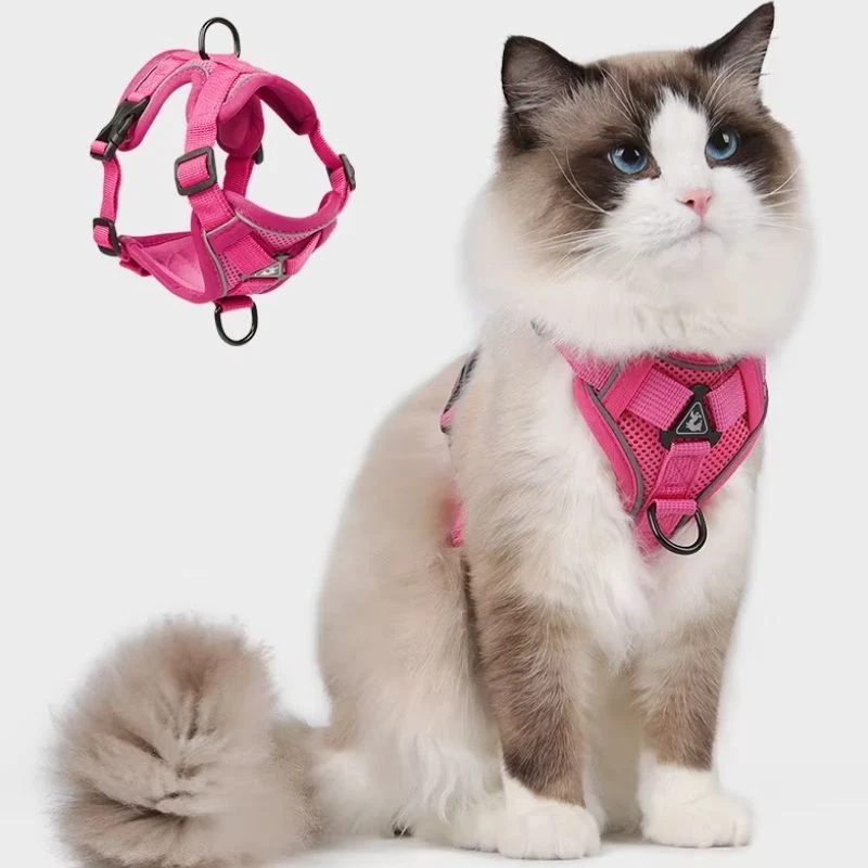 Harnais chat anti-fugue - Réglable et réfléchissant