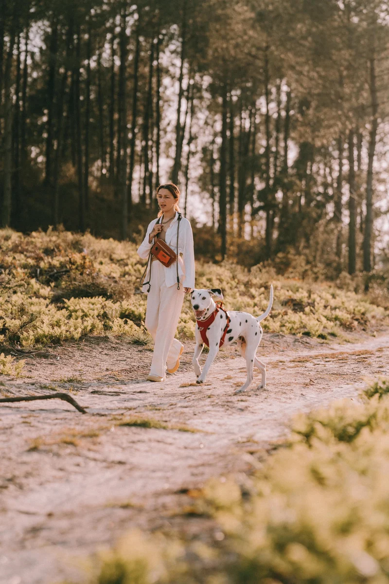 Ensemble Sac banane pochette à friandises amovible pour chien - Modèle Ilbarritz
