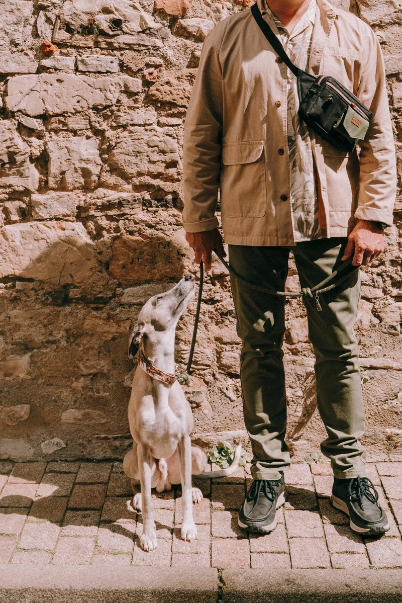 Ensemble Sac banane et pochette à friandises amovible pour chien - Modèle Rhune
